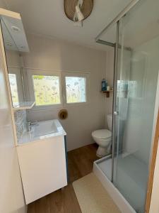 a bathroom with a shower and a sink and a toilet at Dépendance calme Gujan-Mestras in Gujan-Mestras