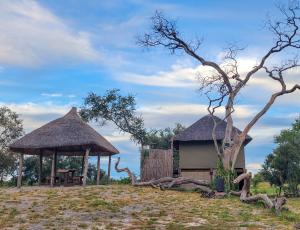 un pabellón y una cabaña en un campo en Chobe Hideaway, en Kasinka 23 fotos más