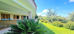 a house with a plant in front of a yard at Villa Starlight vista mare La Caletta in Santa Lucia