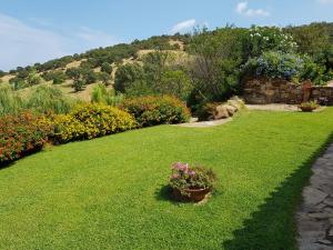 a garden with flowers in a yard at Villa Starlight vista mare La Caletta in Santa Lucia