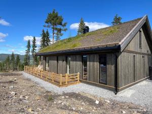 ein Gebäude mit einem Gründach in der Unterkunft Skogsbu - Stylish, Close to Ski centers and hiking trails in Nystølen