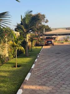 Gallery image of The Java Tree Suite in Lusaka