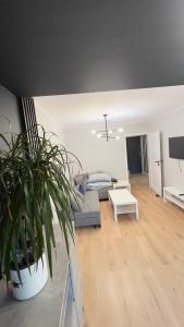 TV a/nebo společenská místnost v ubytování Przyjazny Kąt + 2 fotografie