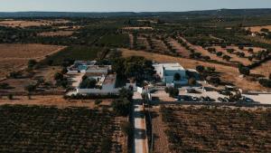 an aerial view of a house in a vineyard at Luxery Resort Triglie in Crispiano