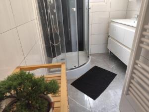 a bathroom with a shower and a potted plant at villa skys France in Gien