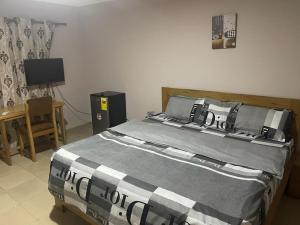 a bedroom with a large bed and a television at 3 Bedrooms house fully furnished in East Legon in Accra