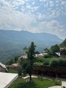 Galería fotográfica de Foleja e Shqiponjave en Tetovo