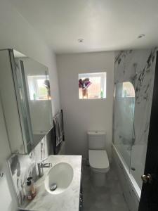 a bathroom with a sink and a toilet and a shower at Fab 2 double bed detached house in Peterborough +12 photos