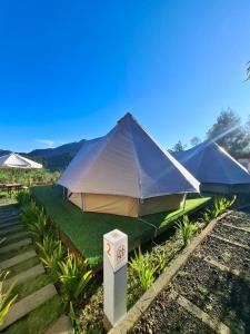 a large tent is set up in a garden at Dieng Latar Alam Tambi Syariah in Kejajar