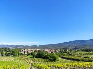 a village in a vineyard with mountains in the background at Le Mas des Baux in Bédoin