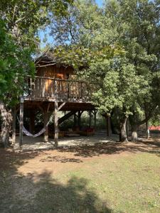 a tree house with a swing in a park at Lodge dans les arbres in Villevieille