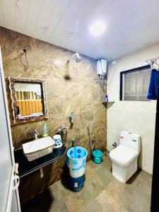 a bathroom with a toilet and a sink and a mirror at velvet villa mahabaleshwar in Mahabaleshwar