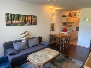 a living room with a couch and a table at Kurhotel Schluchsee Apartment 1305 in Schluchsee