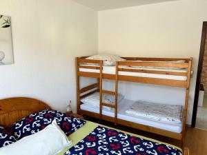 two bunk beds in a room with a bed at Ferienwohnungen am Wald in Lütow