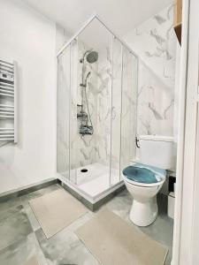a bathroom with a shower and a toilet at Les Nids Tranquiles - Pays de Fontainebleau in Le Châtelet-en-Brie