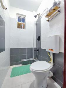 a bathroom with a toilet and a shower at Kiriview Apartments in Nanyuki