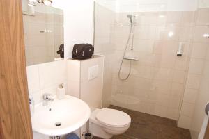 a bathroom with a toilet and a shower and a sink at Gasthof Wachmann in Romatschachenberg