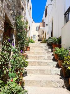 a stone staircase in an alley with potted plants at Villa Iza in Skala +11 photos