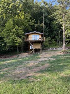 a tree house in the middle of a field at Treetop Tiny House Pod Korunami in Horná Mičiná +6 photos