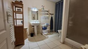 a bathroom with a sink and a toilet at Apppartement 2 pièces centre-ville in Chauffailles