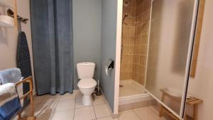 ein Badezimmer mit Toilette und Dusche in der Unterkunft Apppartement 2 pièces centre-ville in Chauffailles