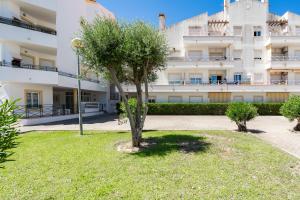 a tree in front of a building at 1 Bedroom apt with pool access in Albufeira