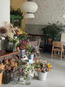 a bunch of flowers in pots in a room at Kytky pod komínem in Děčín