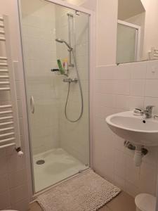 un baño con ducha y lavabo en Chambre Les Terrasses de Condate, en Rennes