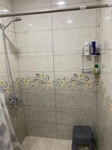 a bathroom with a shower stall with a toilet at Vahan Guest House in Tatʼev