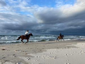 two people are riding horses on the beach at Dom Marzeń z jacuzzi pod gwiazdami in Kopalino