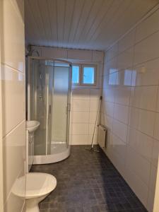 a bathroom with a shower and a toilet and a sink at Asunto työporukalle Myllymäki 25 with free parking in Lahti