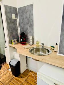 eine Küche mit Spüle und Arbeitsplatte in der Unterkunft Appartement au coeur de Béziers in Béziers
