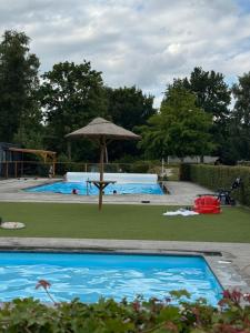 a large swimming pool with an umbrella and a playground at Chalet Flufstaart in Gasselte