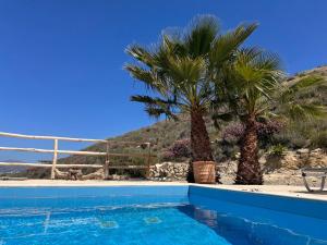 ein blauer Pool mit Palmen im Hintergrund in der Unterkunft Villa Galliki in Kamilari
