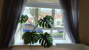 Gambar di galeri bagi Entire Cosy Apt- 10min Airport di Donabate
