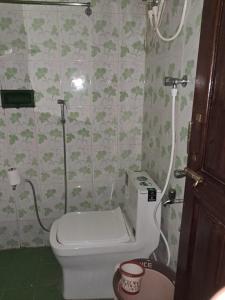 Un pequeño baño con inodoro y ducha. en Koral Islands Homestay, en Sadāshivgarh