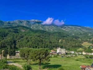 a view of a mountain with a town and trees at Central Apart Permet in Përmet