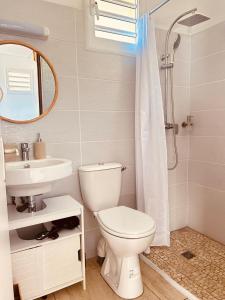 a bathroom with a toilet and a sink and a mirror at Gîte Belle Place in Le Gosier +4 photos