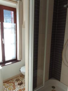 un bagno con doccia, WC e finestra di La bourguignonne a Villemanoche