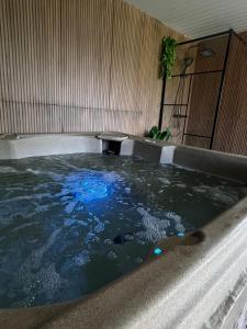 Φωτογραφία από το άλμπουμ του Casa Mari σε Cîrţişoara