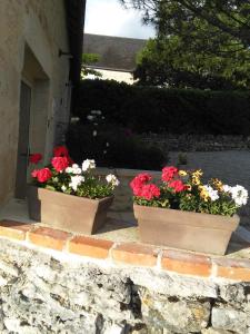Zahrada ubytování Bergerie de Lagarrigue