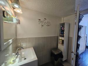 Un baño con lavabo e inodoro en Basement Appartment, en Edmonton 29 fotos más