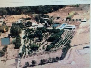 een luchtzicht op een tuin met bomen en een zwembad bij Rancho Nippon in Brasilia