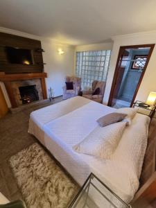 a bedroom with a large bed and a fireplace at Pousada Ana Terra in Monte Verde