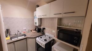 a small kitchen with a stove and a sink at Depto Centro con Patio Pet Friendly La Cañada in Cordoba