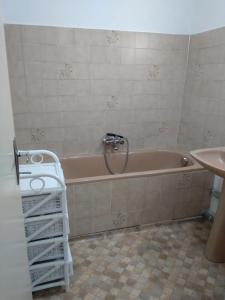 a bathroom with a bath tub and a sink at Lom Bulgarana in Bourg-Argental