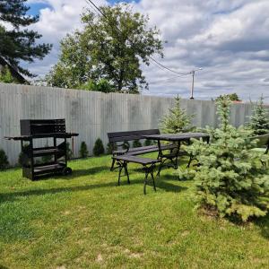 a picnic table and a grill in a yard at Willa Na Białej in Ziajki