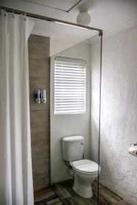 ein Bad mit einem WC und einem Duschvorhang in der Unterkunft Willowdale Farm Cottage 2 in Nottingham Road