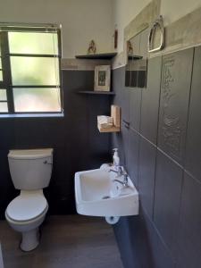 a bathroom with a toilet and a sink at Streams Cottage in Bettyʼs Bay +27 photos