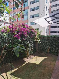 a garden with pink flowers in front of a building at Romantic, Cozy, Fashionable Apt in Quito